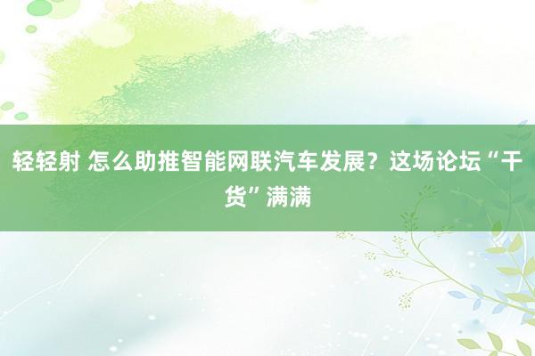 轻轻射 怎么助推智能网联汽车发展？这场论坛“干货”满满