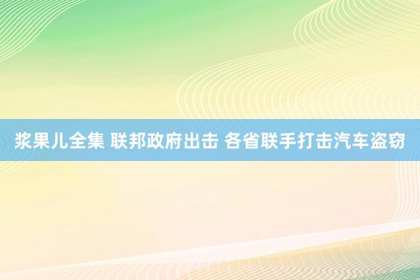 浆果儿全集 联邦政府出击 各省联手打击汽车盗窃